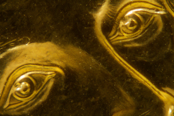 James Madison's Eyes