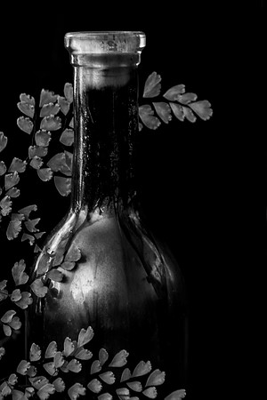 Fern N Wine
