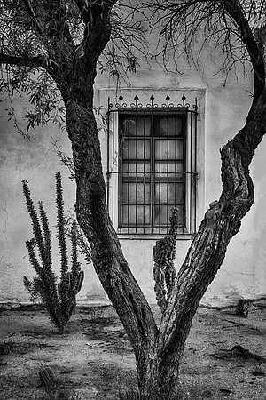 Rectory Window