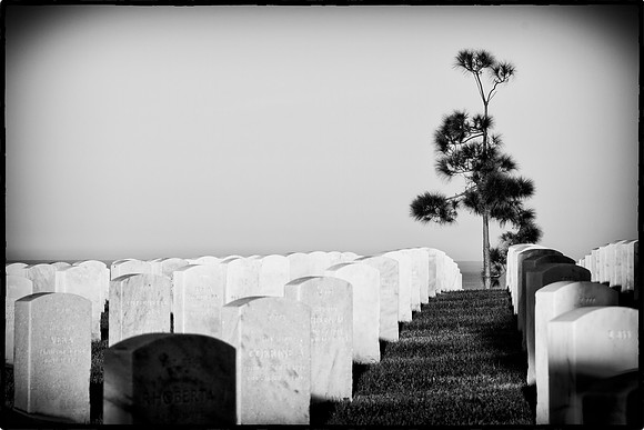 The Sentinel