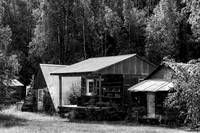 Abandoned Cabins