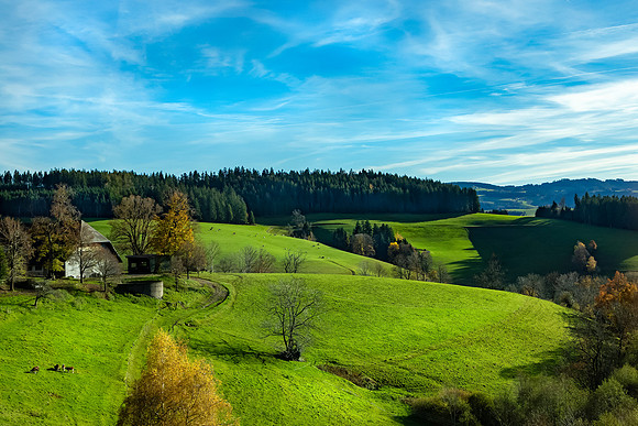 Rolling Hills of The Black Forrest
