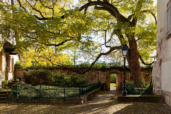 Courtyard Entrance