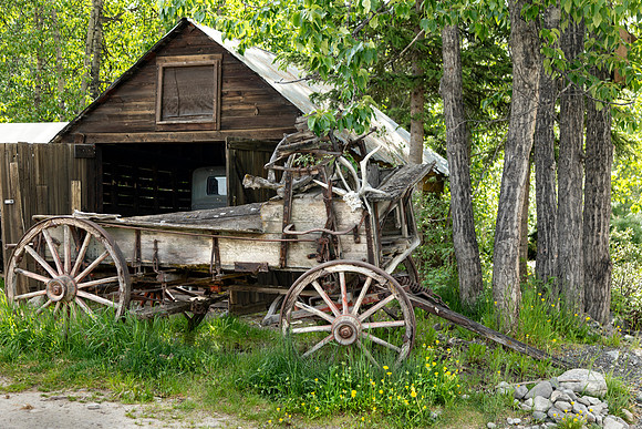 McCarthy Buckboard