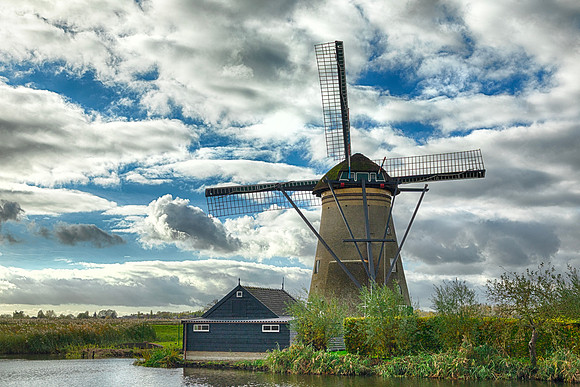 Windmill Back Yard
