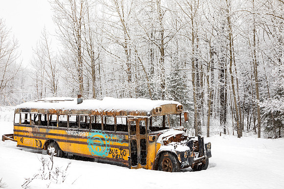 chool buss