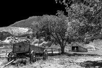 Pendleton Barn and Wagon BW