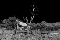 The Sentinel