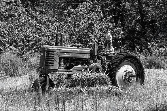 Johnny Pop Model B With Dog