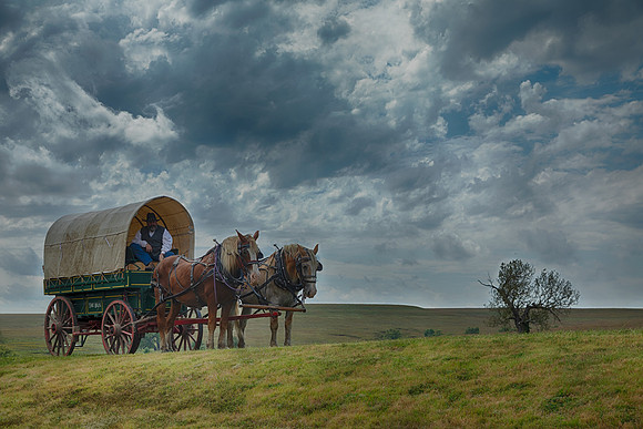 Tallgrass Team