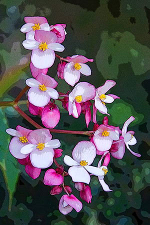 Tiny Flowers