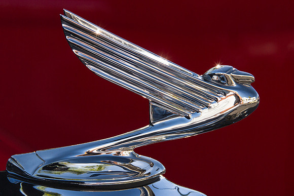 Griffin
