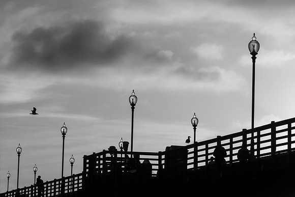 Two Gulls