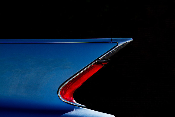 Blue Fin