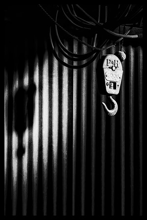 Hoist