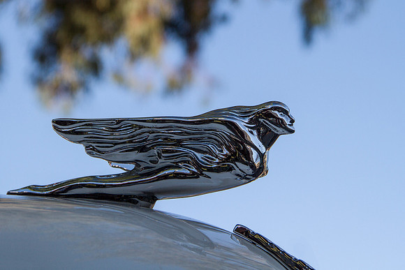 Flying Lady