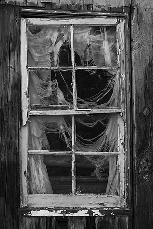 Tattered and Torn