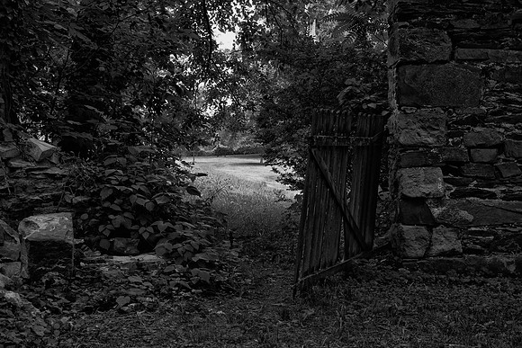 Secret Garden