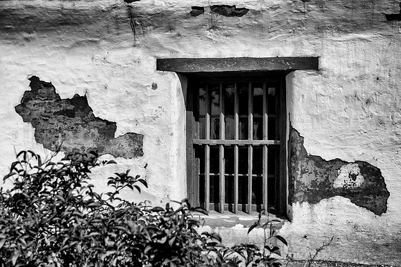 Kitchen Window