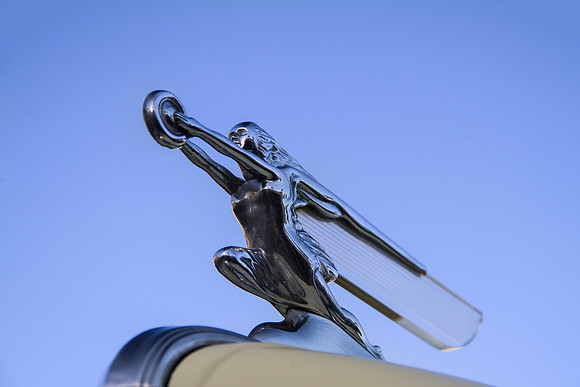 Packard Lady