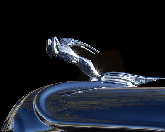 Impala