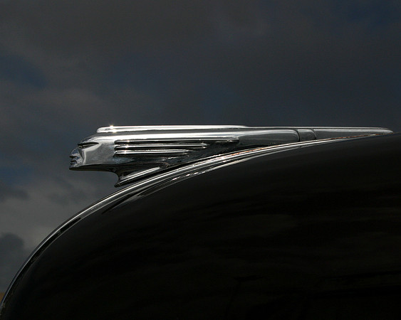 Silver Chief