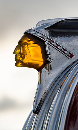 Chief Silver Chief