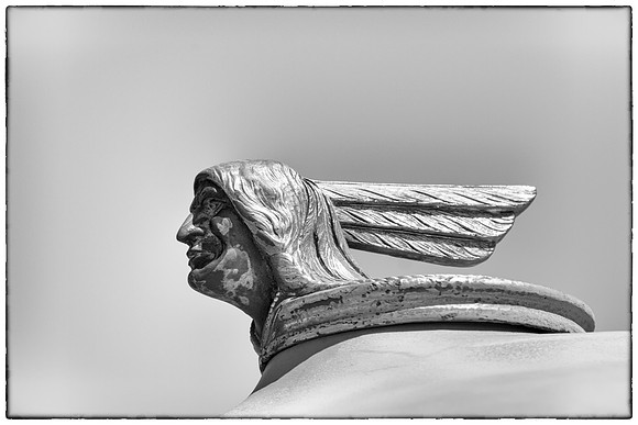 Old Chief