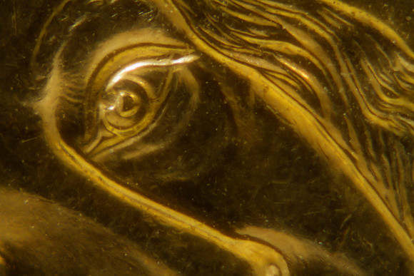 Gold Eye
