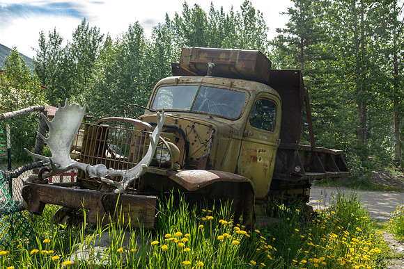 Moose Rack Brush Guard