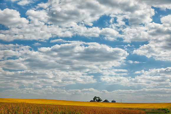 Corn Soybeans and Sky