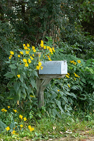 Rural Route 3