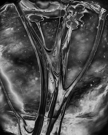 Glass Ceiling