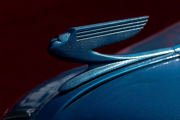 Blue Bird