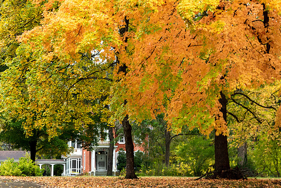 Is It Autumn Yet?