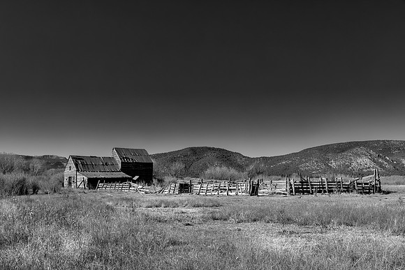 Abandoned Barn And Coral