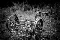 Buckboard Bones