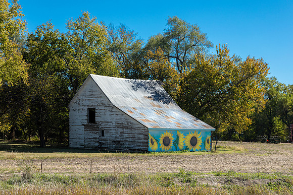 Sunflower Barn
