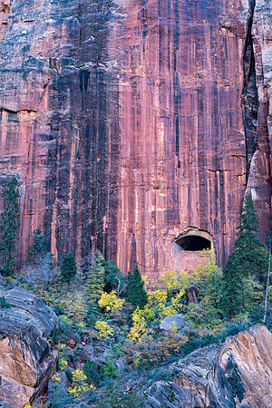 Tunnel Window