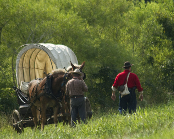 Covered Wagon