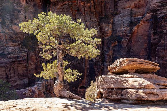 Clinging to the Edge