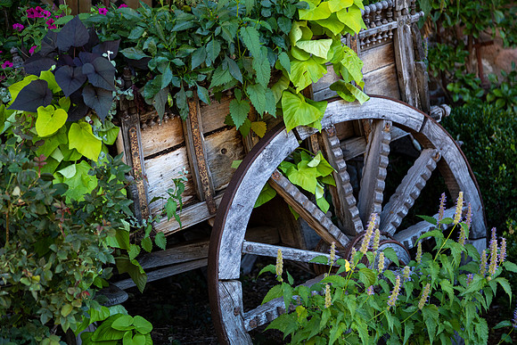 Wagon Load