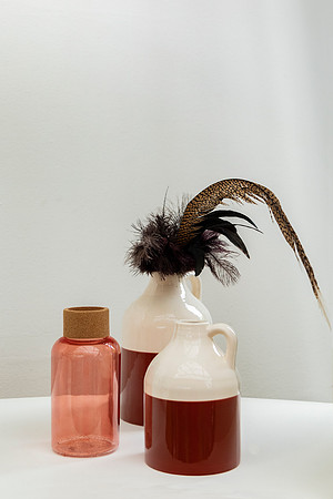 Put A Feather In It