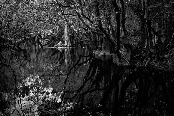 What's Waiting Beneath Still Waters