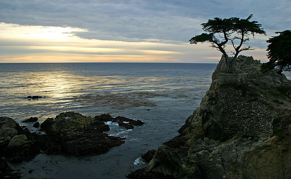 Lone Pine