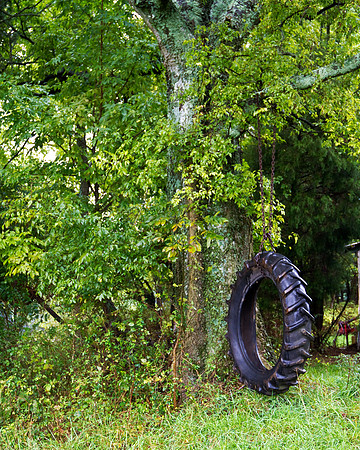 tire swing