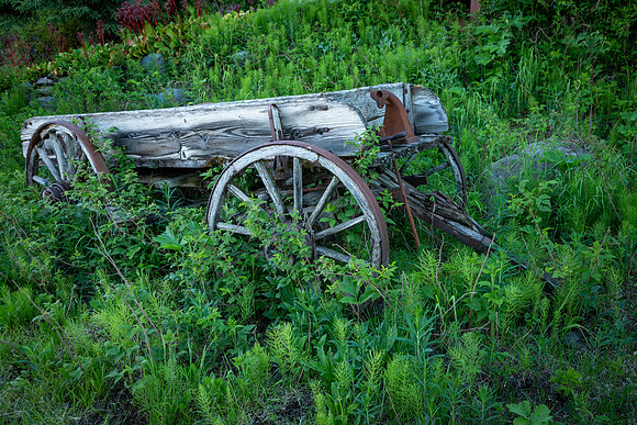 Alaskan Buckboard